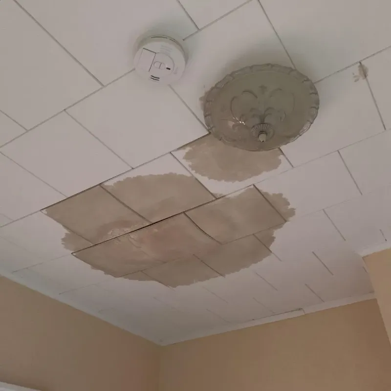 Ceiling Water Damage Repair in Spring Lake Park, MN
