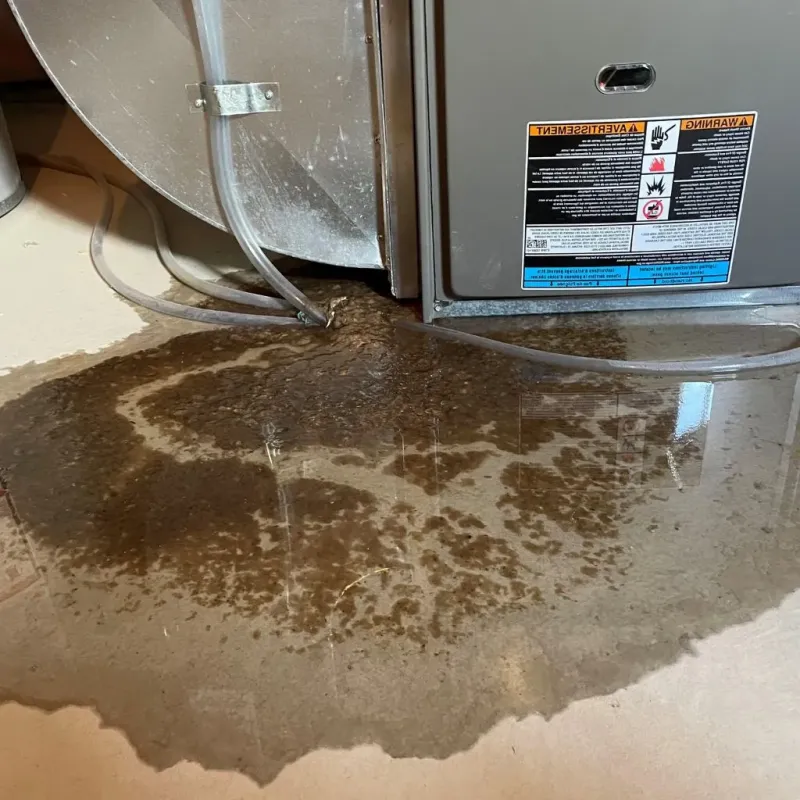Pipe Burst and Leak Restoration in Spring Lake Park, MN